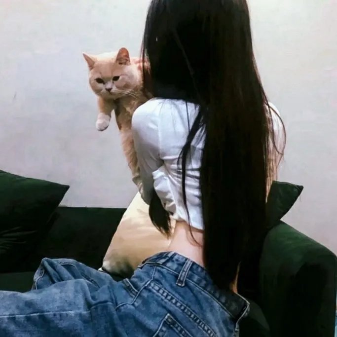你给的仇恨